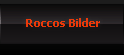 Roccos Bilder