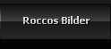 Roccos Bilder